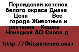 Персидский котенок белого окраса Диана › Цена ­ 40 000 - Все города Животные и растения » Кошки   . Ненецкий АО,Снопа д.